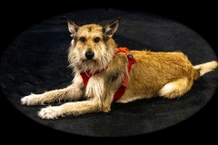 2022-March-Scent-Trial-240