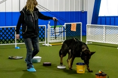 2022-March-Scent-Trial-250