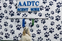 2022-March-Scent-Trial-256