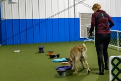 2022-March-Scent-Trial-259