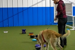 2022-March-Scent-Trial-261