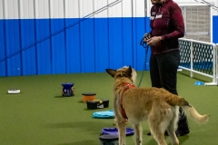 2022-March-Scent-Trial-262