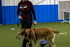 2022-March-Scent-Trial-263