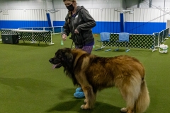 2022-March-Scent-Trial-265