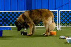 2022-March-Scent-Trial-267