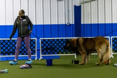 2022-March-Scent-Trial-269