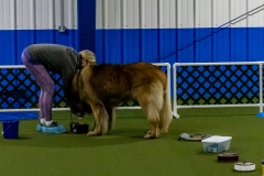 2022-March-Scent-Trial-270