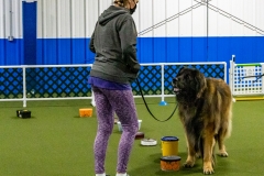 2022-March-Scent-Trial-273