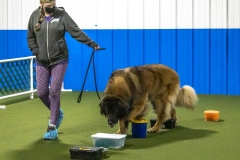 2022-March-Scent-Trial-275