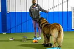 2022-March-Scent-Trial-276