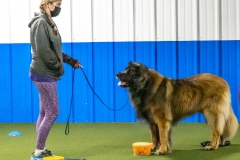 2022-March-Scent-Trial-277