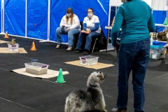 2022-March-Scent-Trial-278