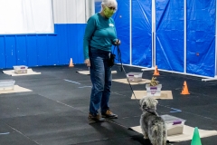 2022-March-Scent-Trial-279