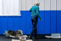 2022-March-Scent-Trial-286