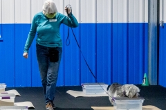 2022-March-Scent-Trial-287