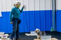 2022-March-Scent-Trial-288