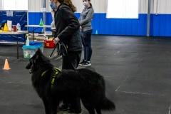 2022-March-Scent-Trial-289