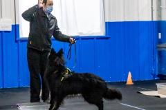 2022-March-Scent-Trial-293