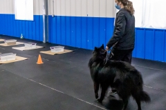 2022-March-Scent-Trial-298