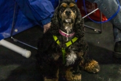 2022-March-Scent-Trial-300