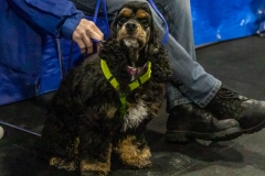 2022-March-Scent-Trial-301