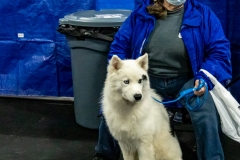 2022-March-Scent-Trial-313