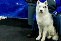 2022-March-Scent-Trial-314