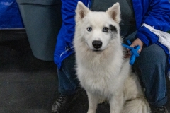 2022-March-Scent-Trial-316