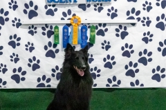 2022-March-Scent-Trial-319