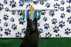 2022-March-Scent-Trial-320