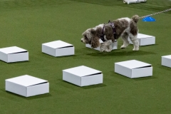 2022-March-Scent-Trial-322