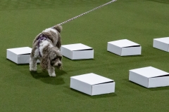 2022-March-Scent-Trial-323