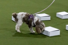 2022-March-Scent-Trial-324