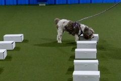 2022-March-Scent-Trial-327