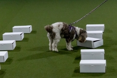 2022-March-Scent-Trial-328