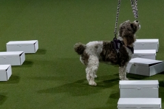 2022-March-Scent-Trial-329