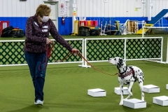 2022-March-Scent-Trial-330