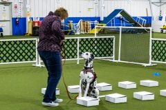 2022-March-Scent-Trial-331