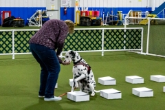 2022-March-Scent-Trial-332