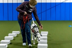 2022-March-Scent-Trial-334