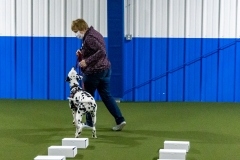 2022-March-Scent-Trial-335