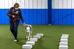 2022-March-Scent-Trial-336