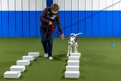 2022-March-Scent-Trial-337