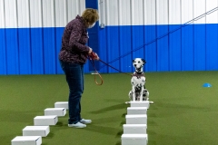 2022-March-Scent-Trial-338