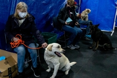 2022-March-Scent-Trial-339