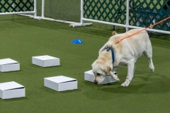 2022-March-Scent-Trial-342