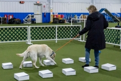 2022-March-Scent-Trial-343