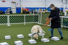 2022-March-Scent-Trial-344