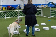 2022-March-Scent-Trial-345