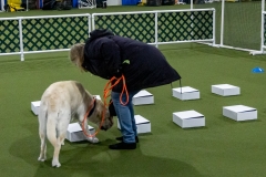 2022-March-Scent-Trial-346